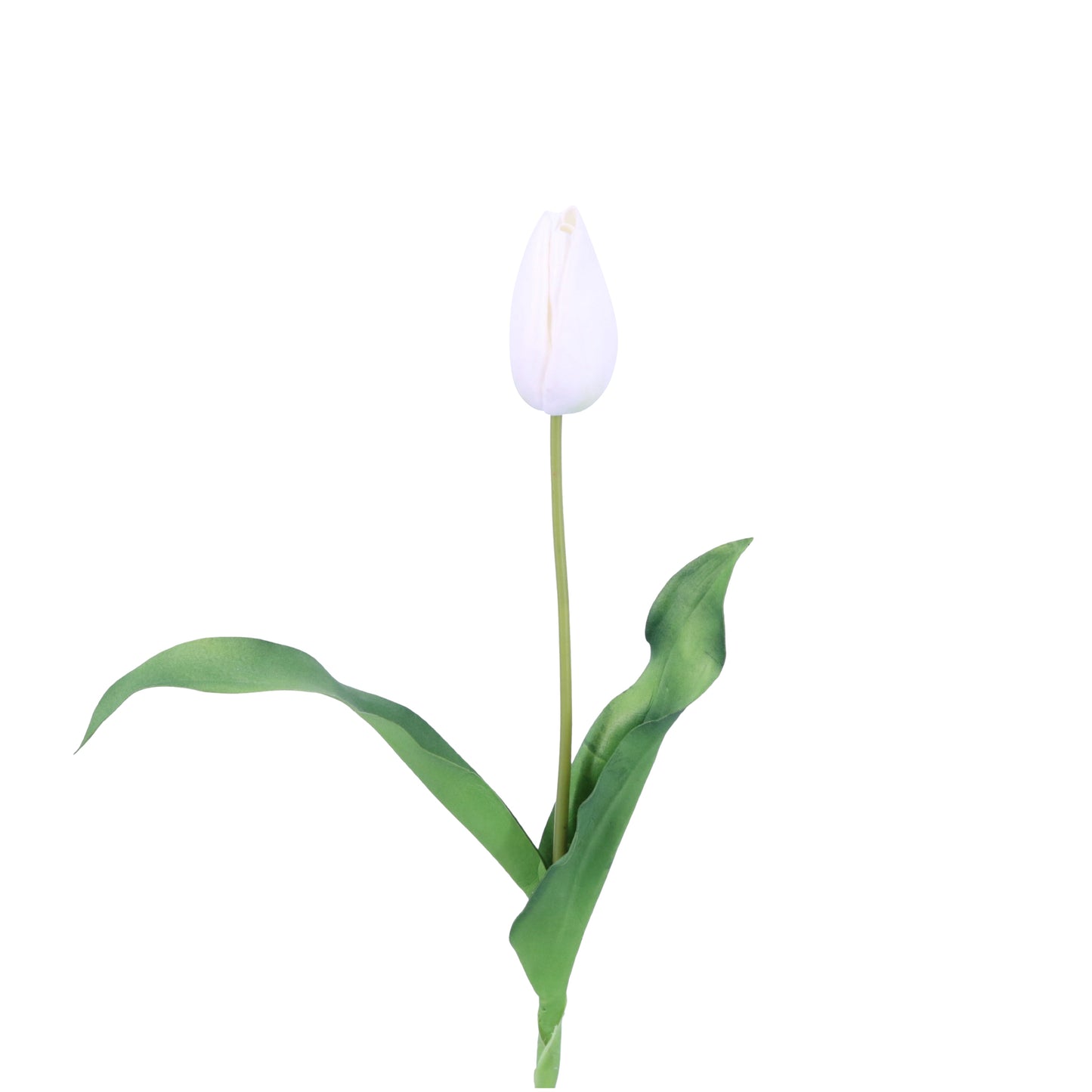 FL11772 DUTCH TULIP BUD,23in-12/144P