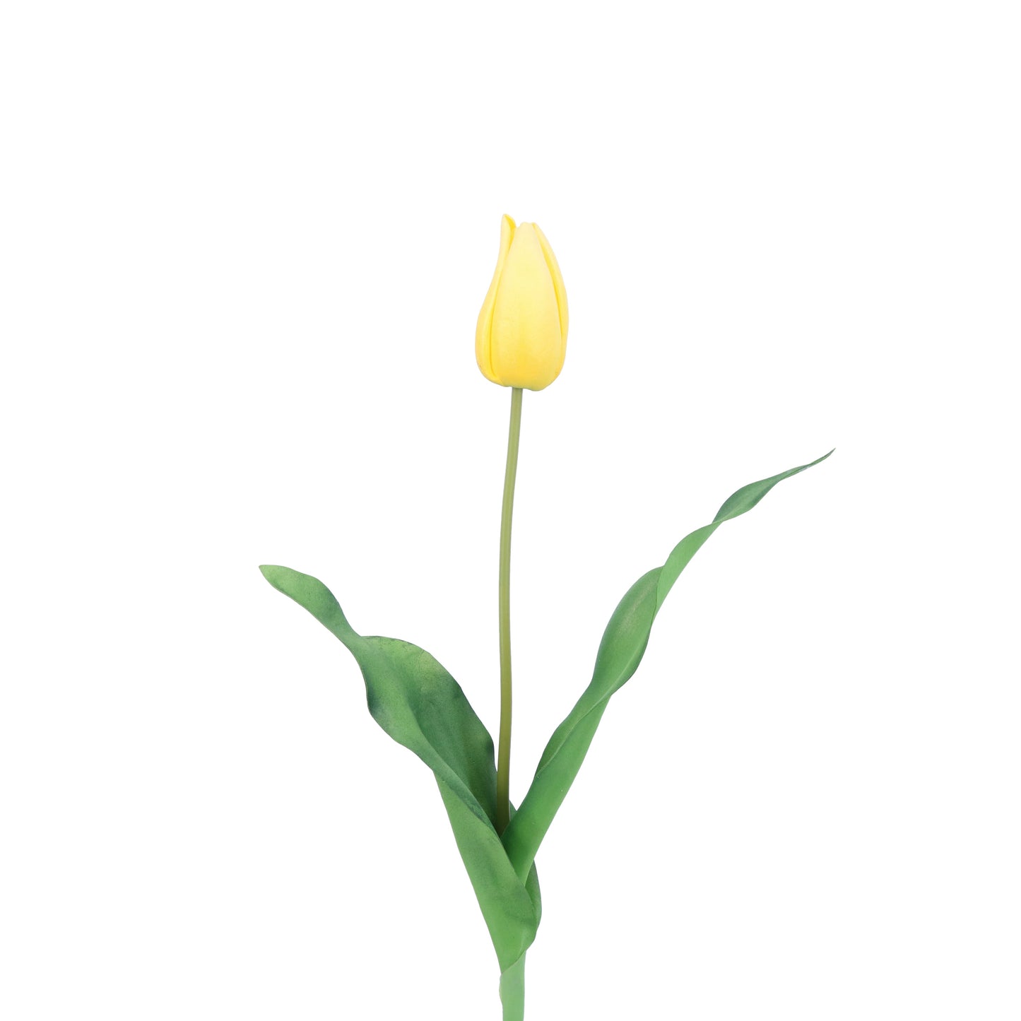 FL11772 DUTCH TULIP BUD,23in-12/144P