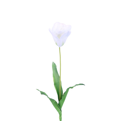 FL11773 DUTCH TULIP,29in-12/96P
