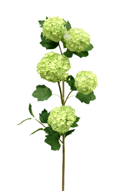 FL11902 SNOWBALL SPRAYx5F,20in-6P/72/12.72'