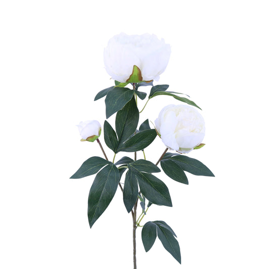 FL11904 PEONY SPRAYx3F,29in-12P/120/10.6'