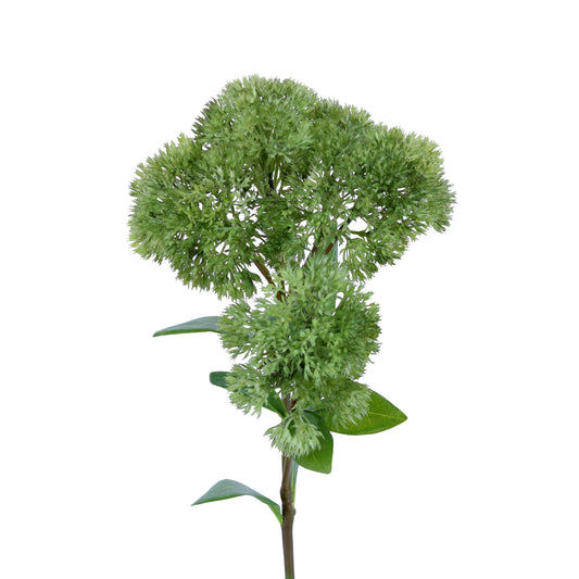 FL12022 SEDUM SPRAY,25in-12P/60/6.88'