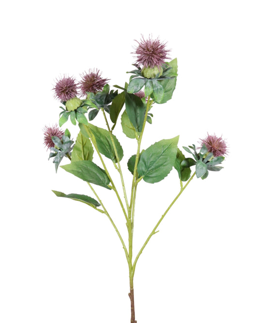 FL12071 SAFFLOWER SPRAYx6,31in-12P/144/9'