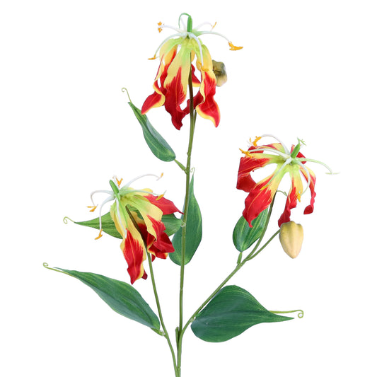 FL12072 GLORIOSA SPRAYx3F2B,33in-12P/120