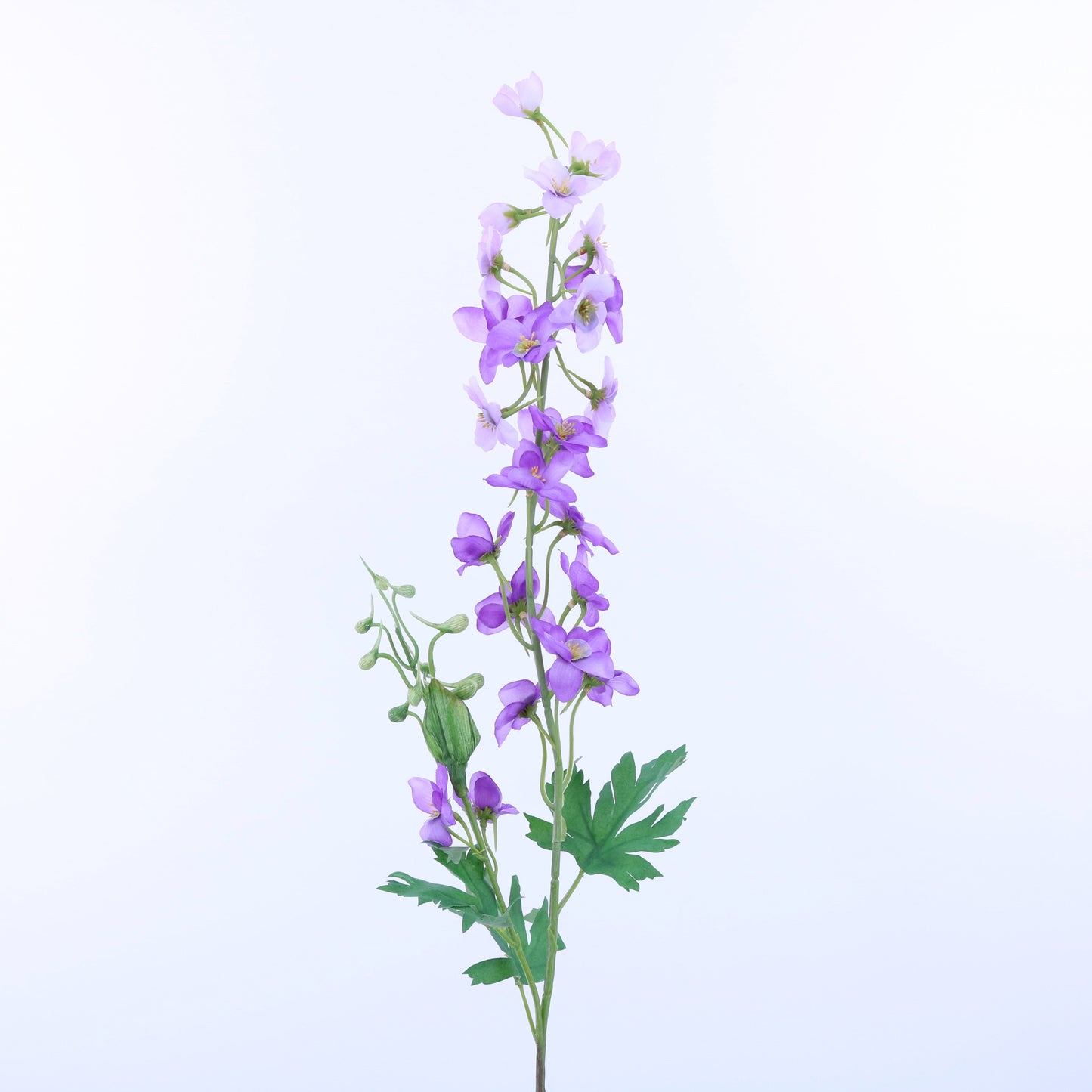 FL12073 DELPHINIUM SPRAYx2,31in-12P/168