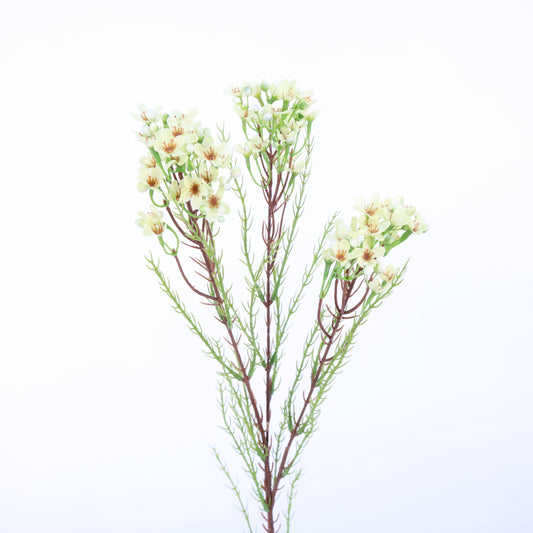 FL12074 WAX FLOWER SPRAY,31in-24P/192/7.09'