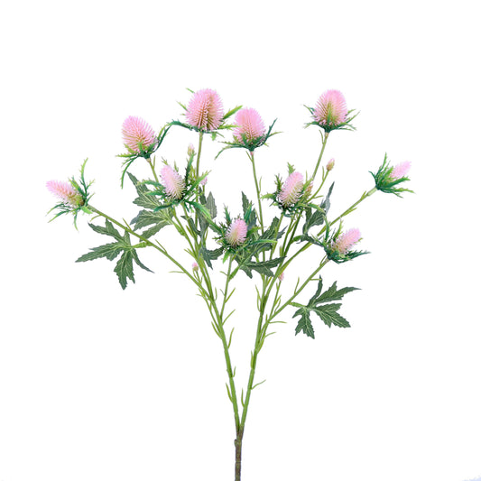 FL12078 SEA HOLLY SPRAYx10,27in-24P/192
