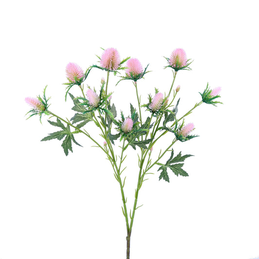 FL12078 SEA HOLLY SPRAYx10 26.5"