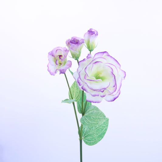 FL12084 DOUBLE LISIANTHUS SPRAYx4F,31in-12P