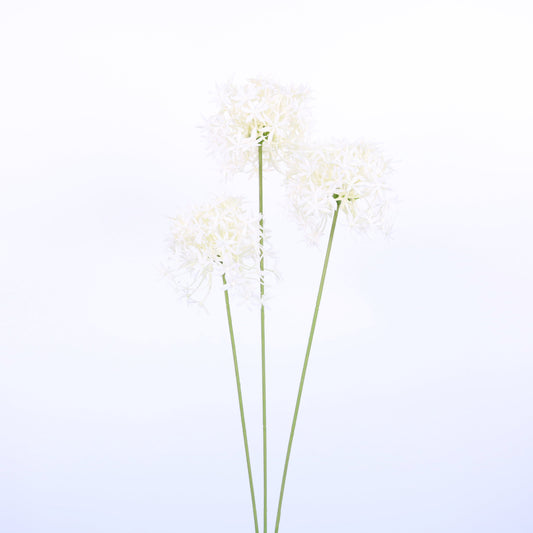 FL13082 ALLIUM SPRAYx3,25in-24P/144/9.25'