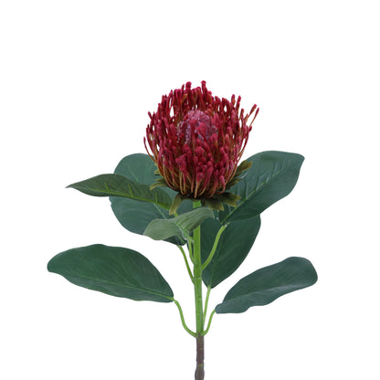 FL13084 NEEDLE PROTEA SPRAY,26in-24P/144/9