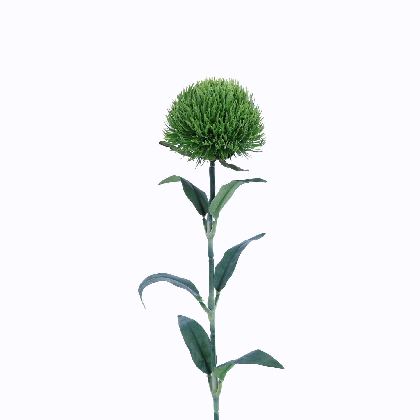 FL13086 DINATHUS SPRAY,21in-24P/192/4.32'