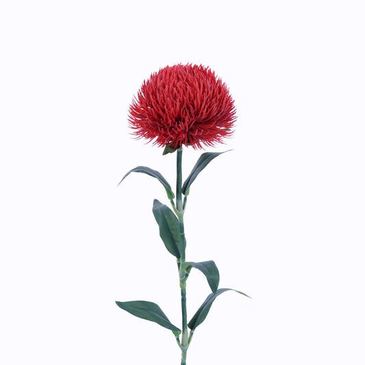FL13086 DINATHUS SPRAY,21in-24P/192/4.32'