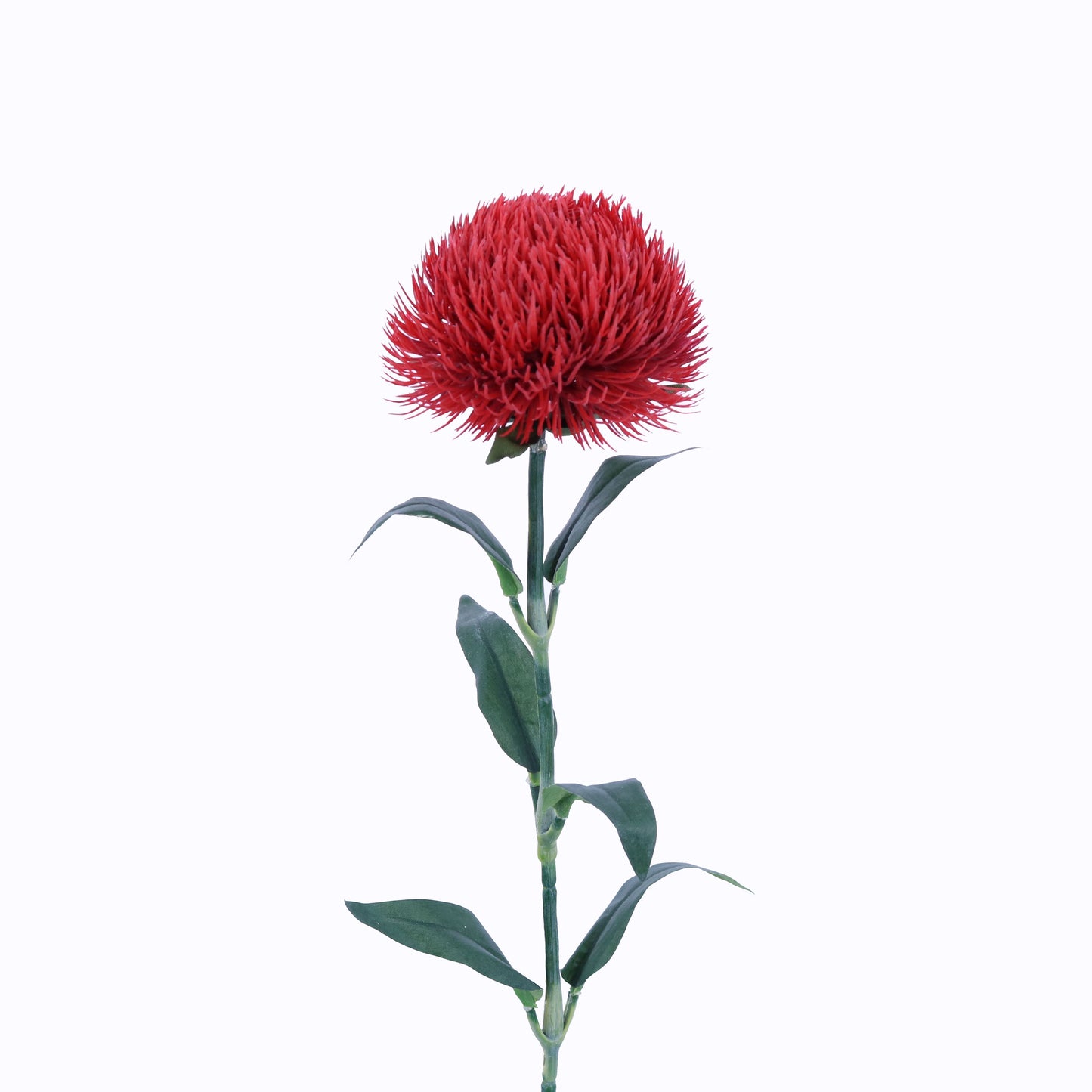 FL13086 DIANTHUS SPRAY,21in-24P/192/4.32'