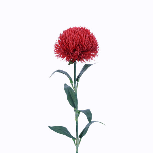 FL13086 DIANTHUS SPRAY,21in-24P/192/4.32'