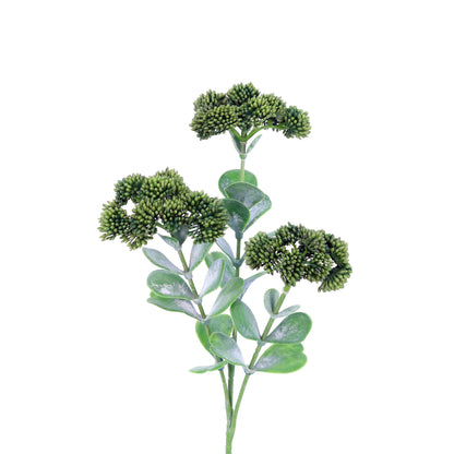 FL13088 SEDUM SPRAY,22in-24P/192/6.54'    *