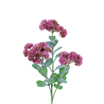 FL13088 SEDUM SPRAY,22in-24P/192/6.54'    *