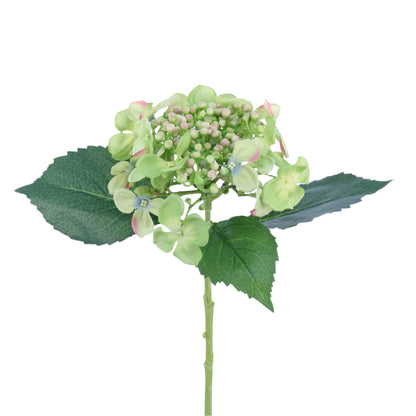 FL13093 BUDDING HYDRANGEA SP,17.5in-12P/144