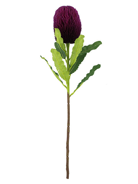 FL13097 BANKSIA SPRAY 25.5"