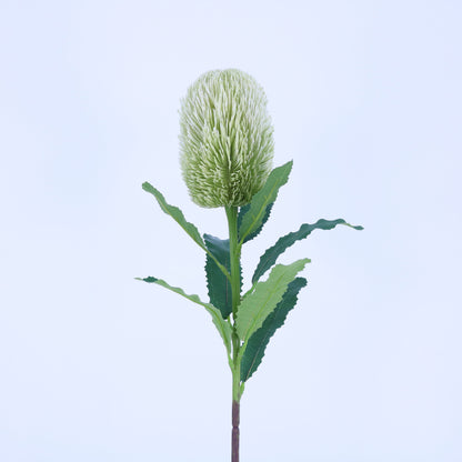 FL13097 BANKSIA SPRAY 25.5"