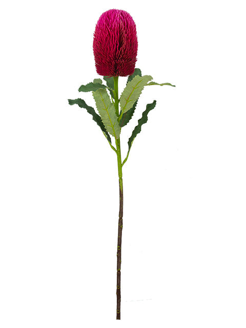 FL13097 BANKSIA SPRAY 25.5"