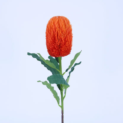 FL13097 BANKSIA SPRAY 25.5"