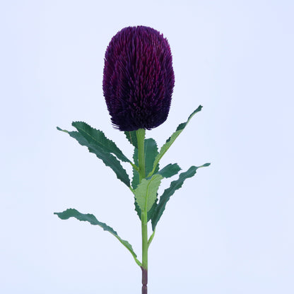 FL13097 BANKSIA SPRAY 25.5"