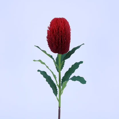 FL13097 BANKSIA SPRAY 25.5"