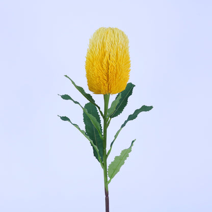 FL13097 BANKSIA SPRAY 25.5"