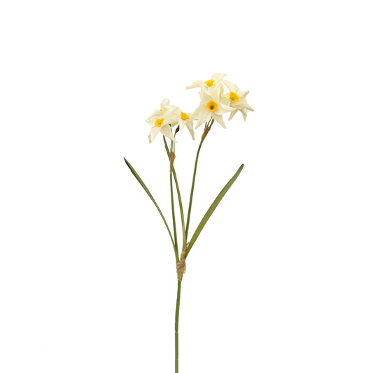 FL13181 NARCISSUSx6 w/2 BUD, 26"