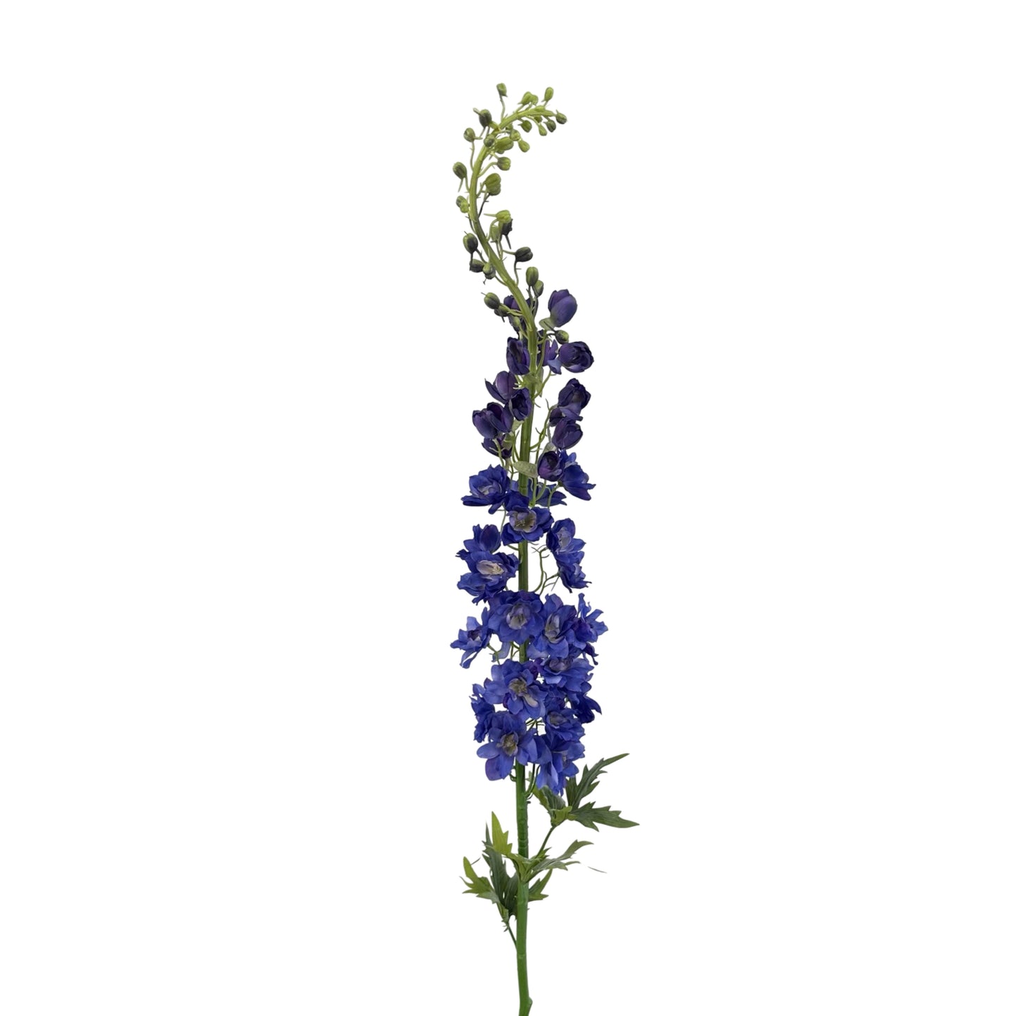 FL13256-LG-DELPHINIUM-54 LG DELPHINIUM (54")