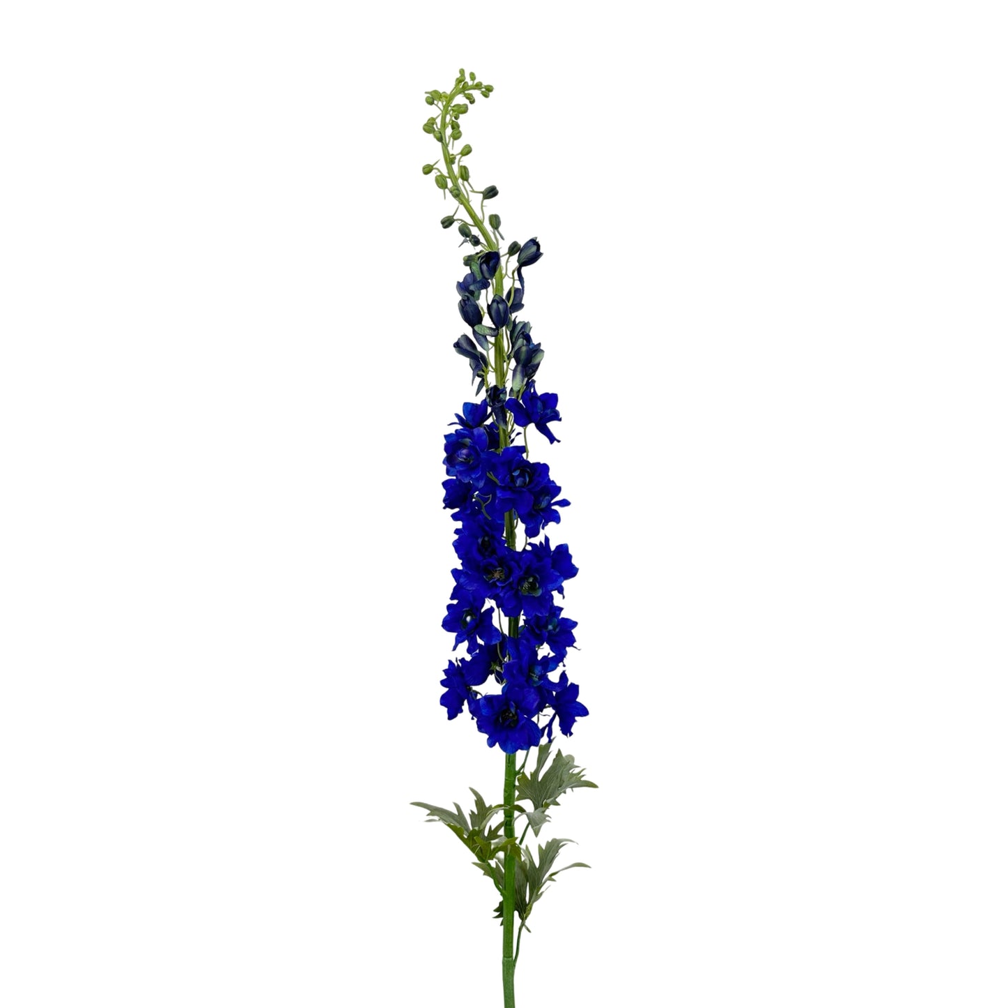 FL13256-LG-DELPHINIUM-54 LG DELPHINIUM (54")