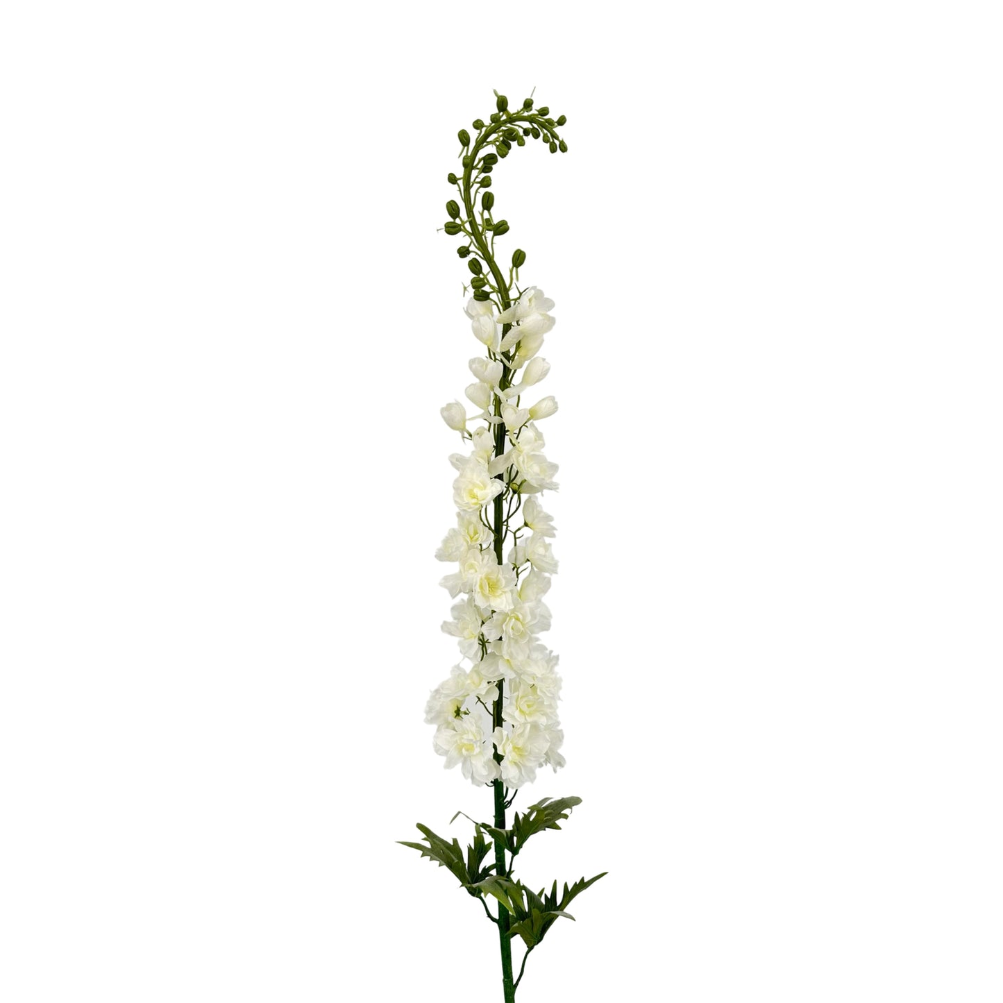 FL13256-LG-DELPHINIUM-54 LG DELPHINIUM (54")