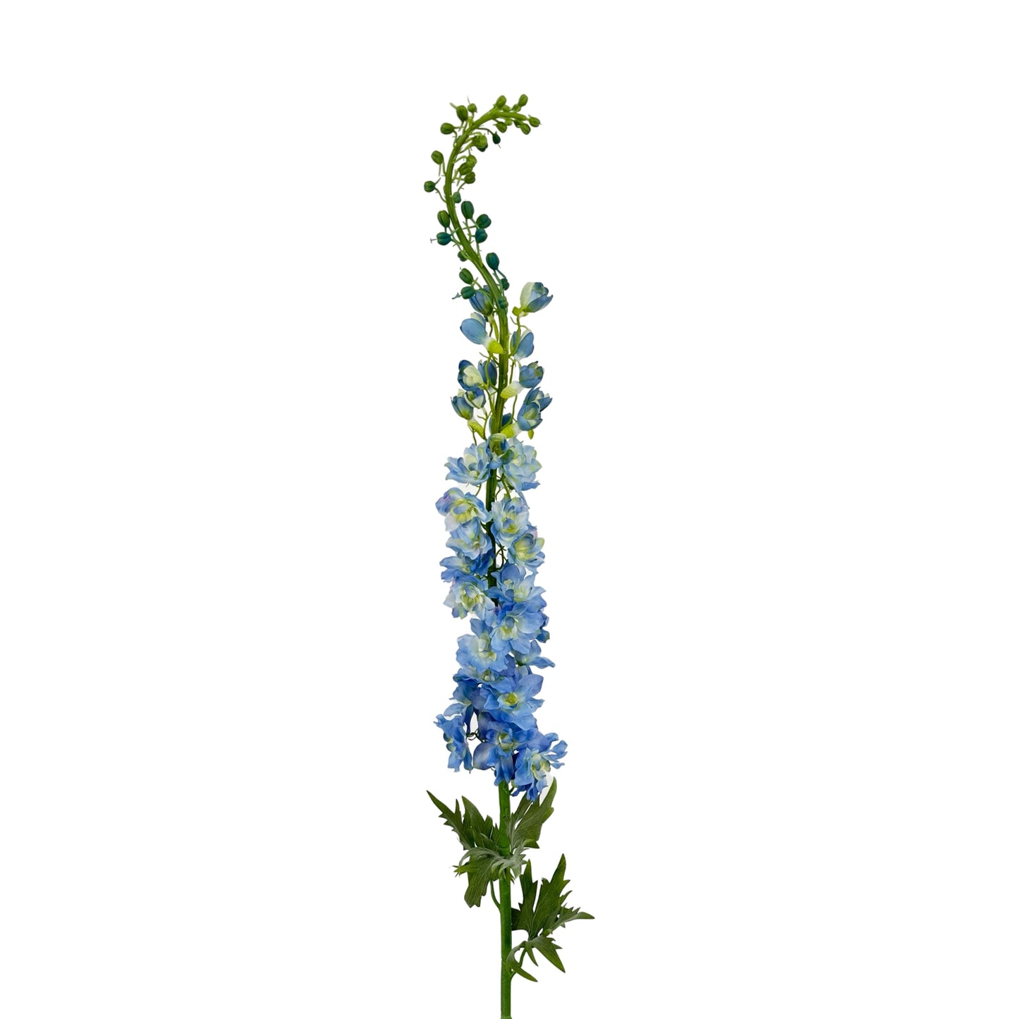 FL13256-LG-DELPHINIUM-54 LG DELPHINIUM (54")