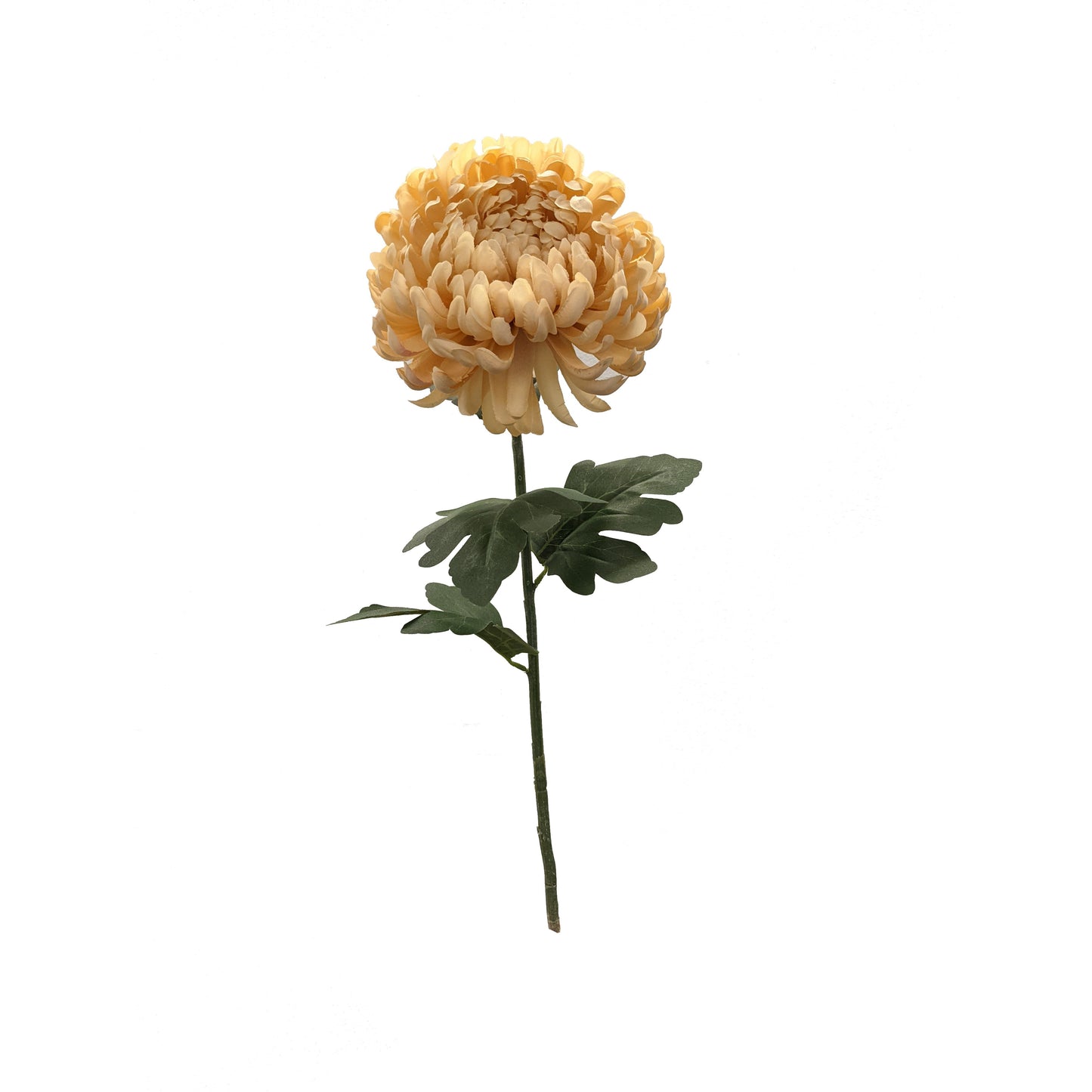 FL13257 MUM SPRAY