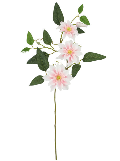 FL13261 DOUBLE CLEMATIS SPRAYx3F,32"