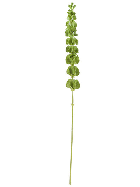 FL13267 BELLS OF IRELAND,38.5"