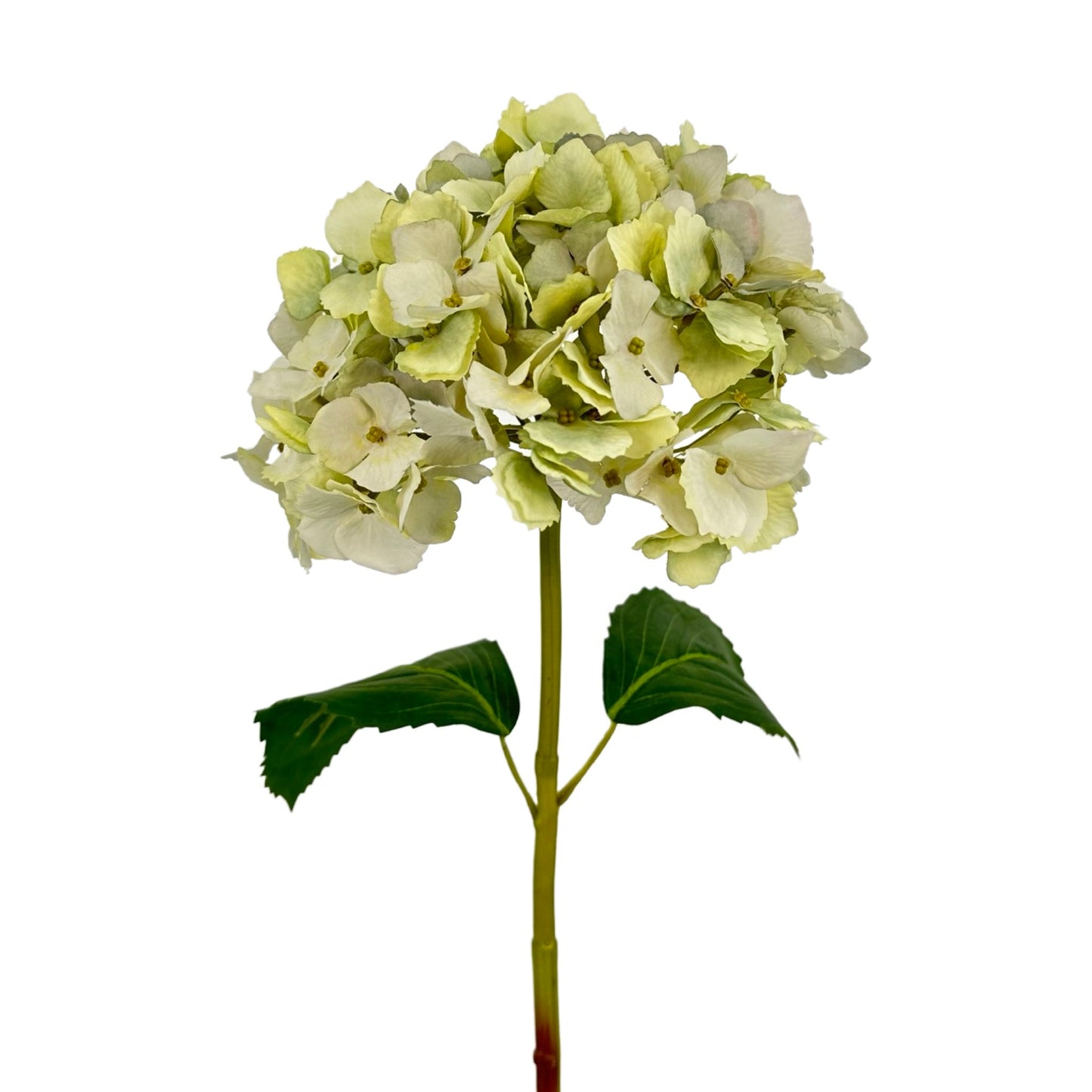 FL13285 HYDRANGEA,32"