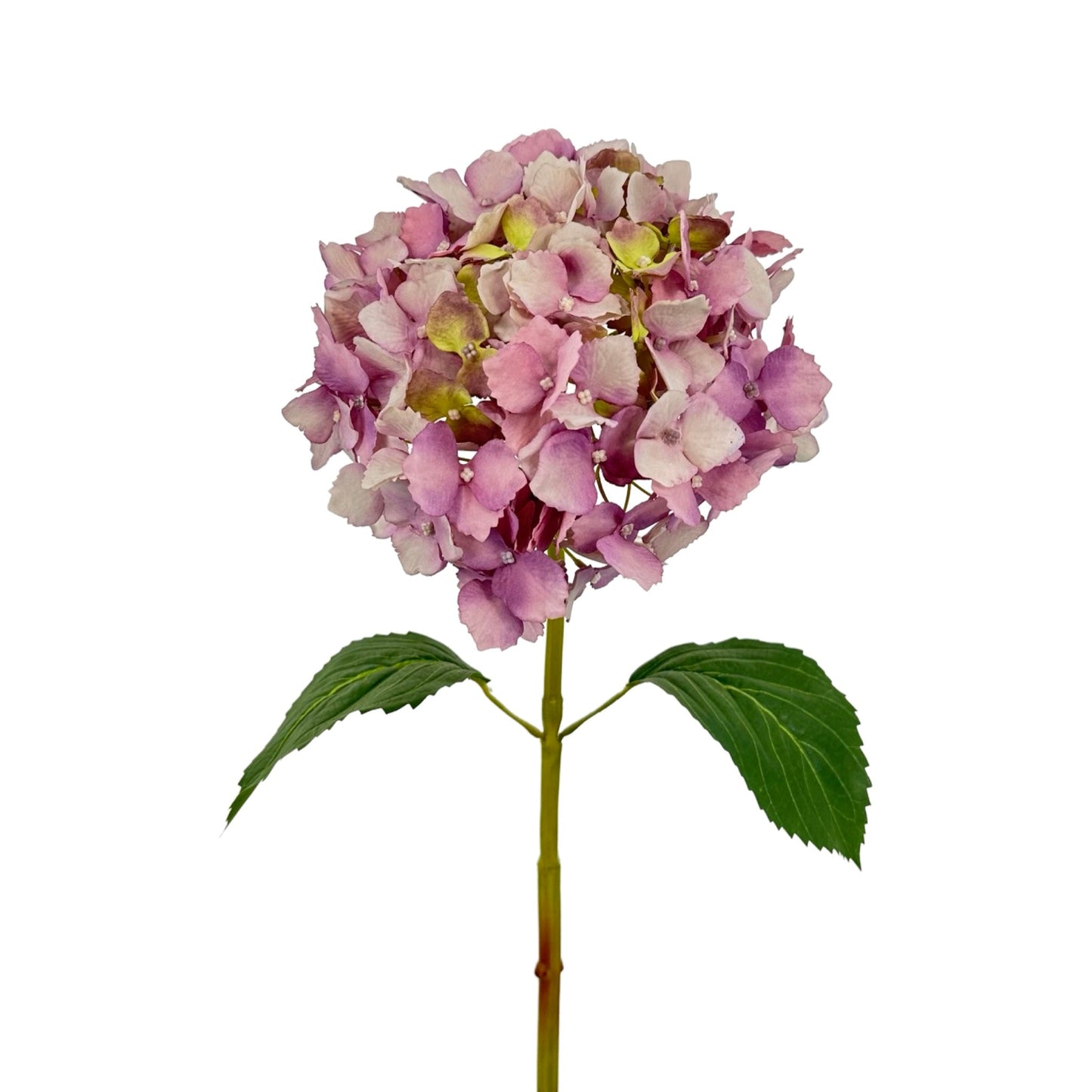 FL13285 HYDRANGEA,32"