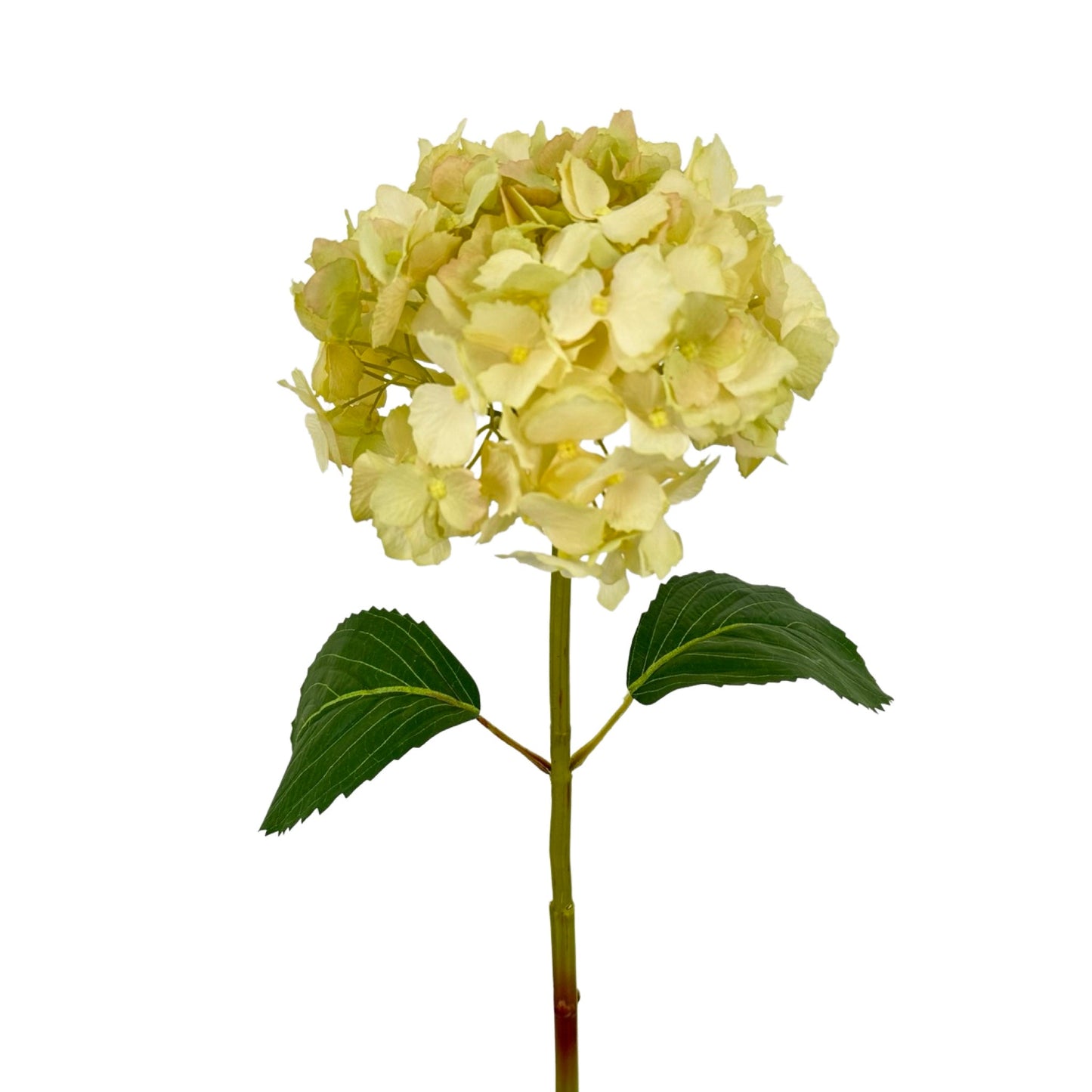 FL13285 HYDRANGEA,32"