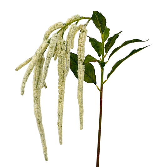 FL13288 WEEPING AMARANTH,43"