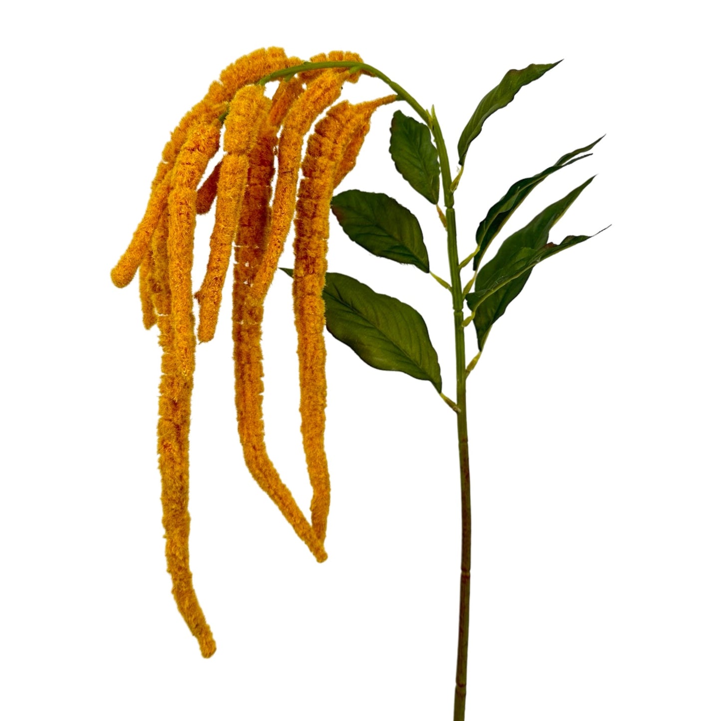 FL13288 WEEPING AMARANTH,43"
