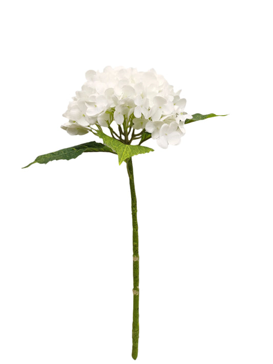 FL13302 HYDRANGEA (NAT),20.5"