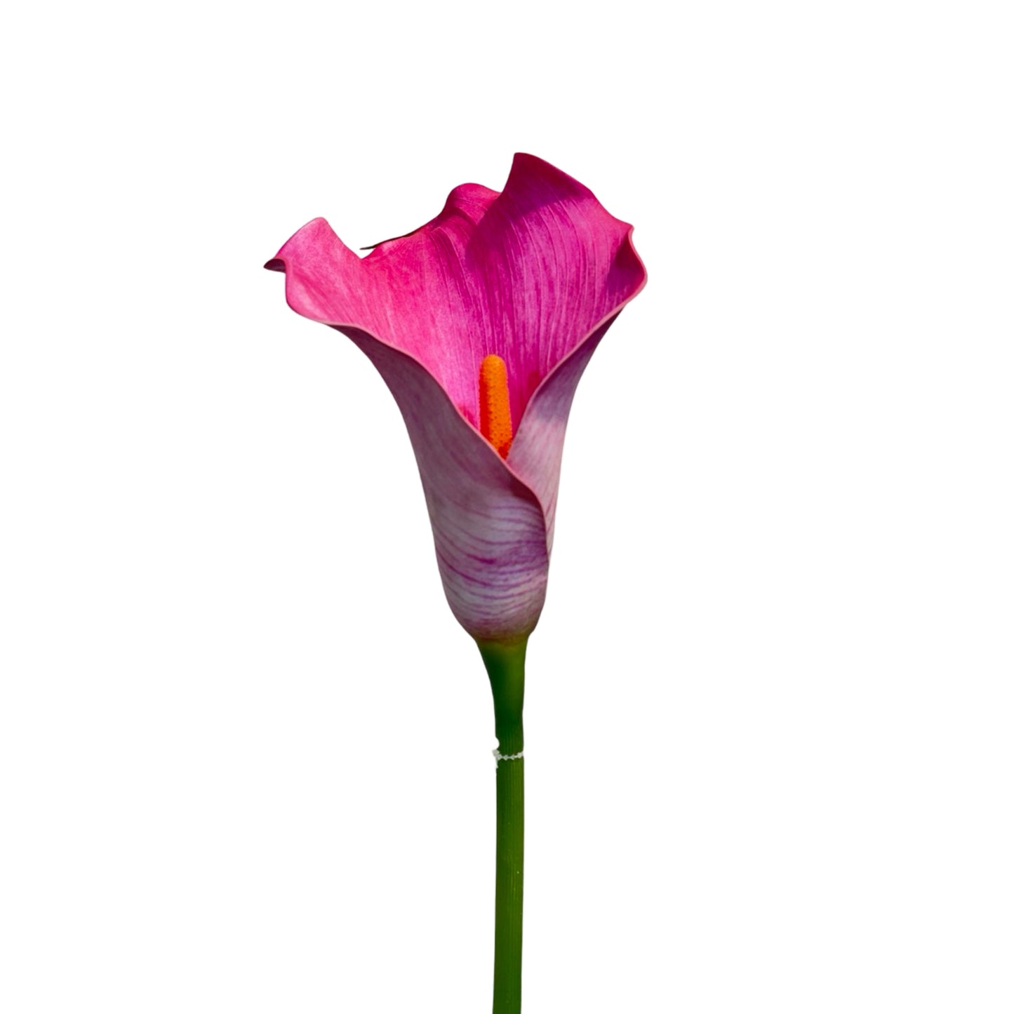 FL13371 CALLA LILY,32"