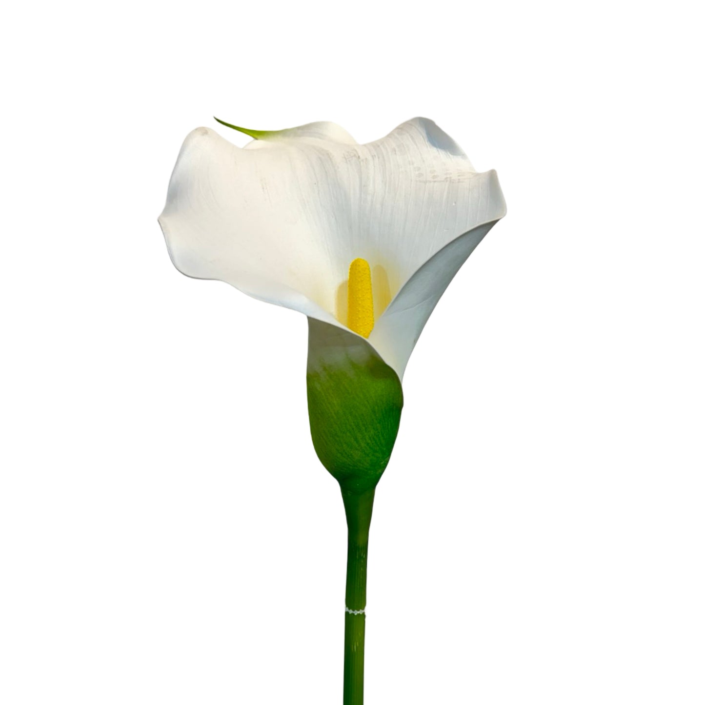 FL13371 CALLA LILY,32"