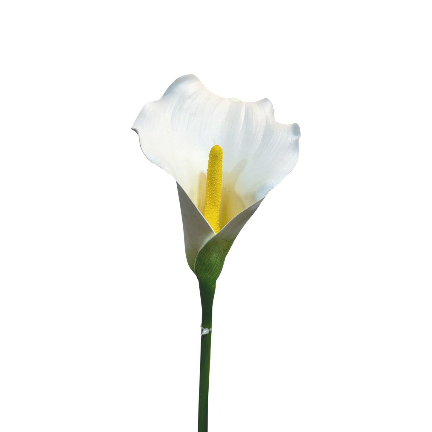 FL13372 CALLA LILY,30"