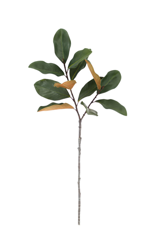 FL13407 MAGNOLIA SPRAYx12L 33.5"