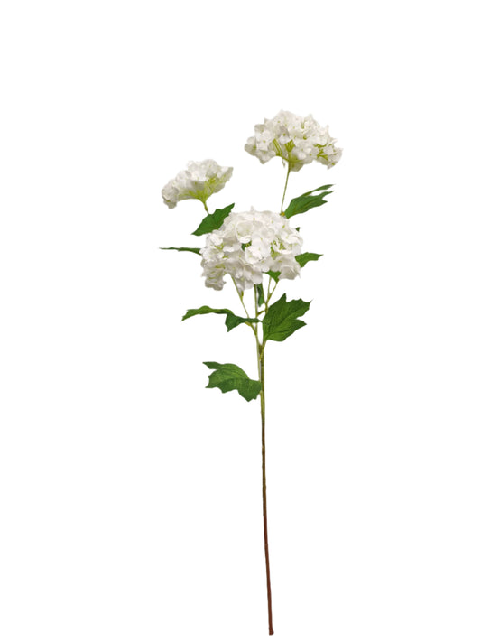 FL13411 SNOWBALL SPRAYx3F (NAT)