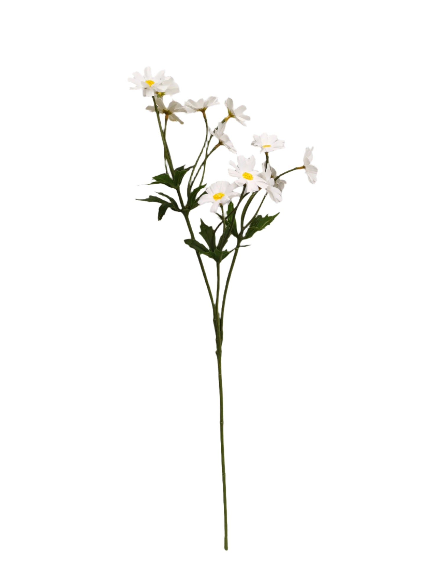 FL13412 CHRYSANTHEMUM SPRAY (NAT)
