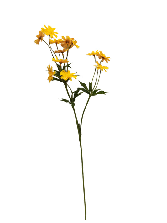 FL13412 CHRYSANTHEMUM SPRAY (NAT)